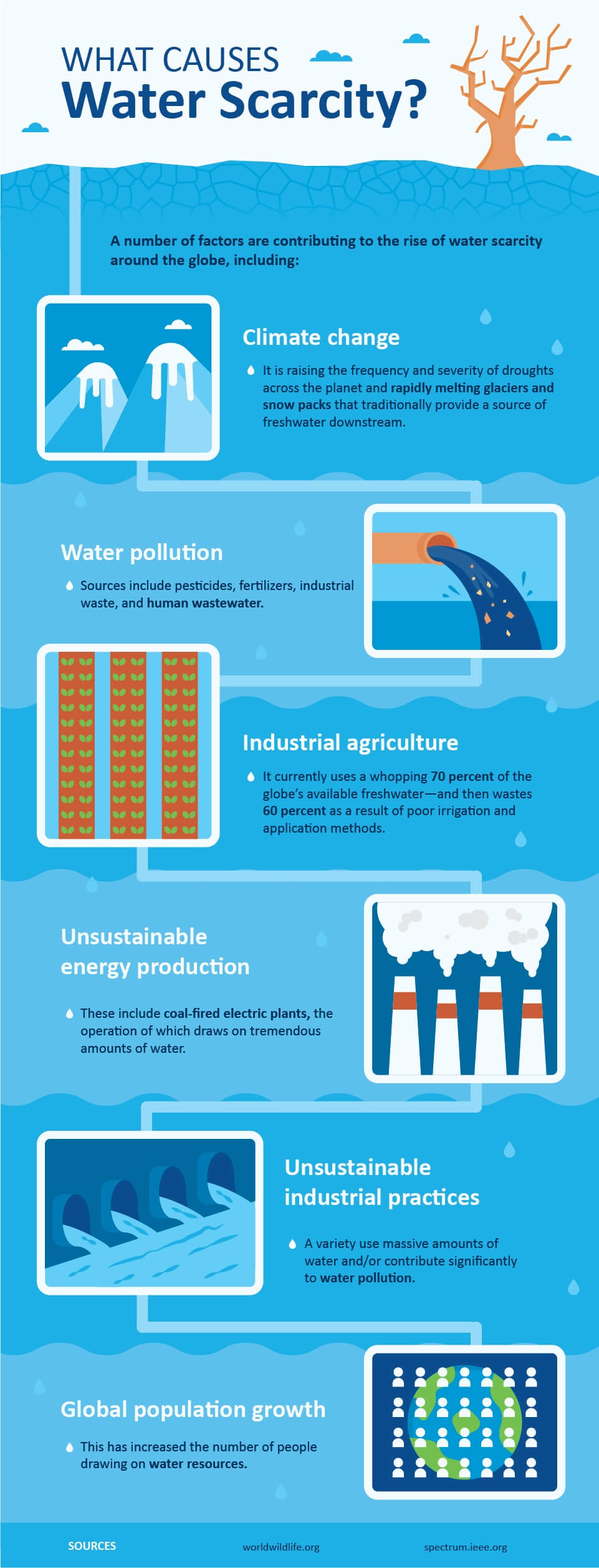 6 Practical Ways to Reduce Water Pollution at Home – Fresh Water Systems
